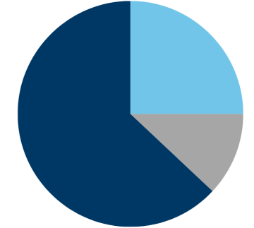 graf kombinace pojištění CYBER